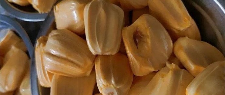 菠萝菠萝蜜高清视频蜜视频在线观看菠萝菠萝蜜高清视频，探索热带水果的魅力-第2张图片