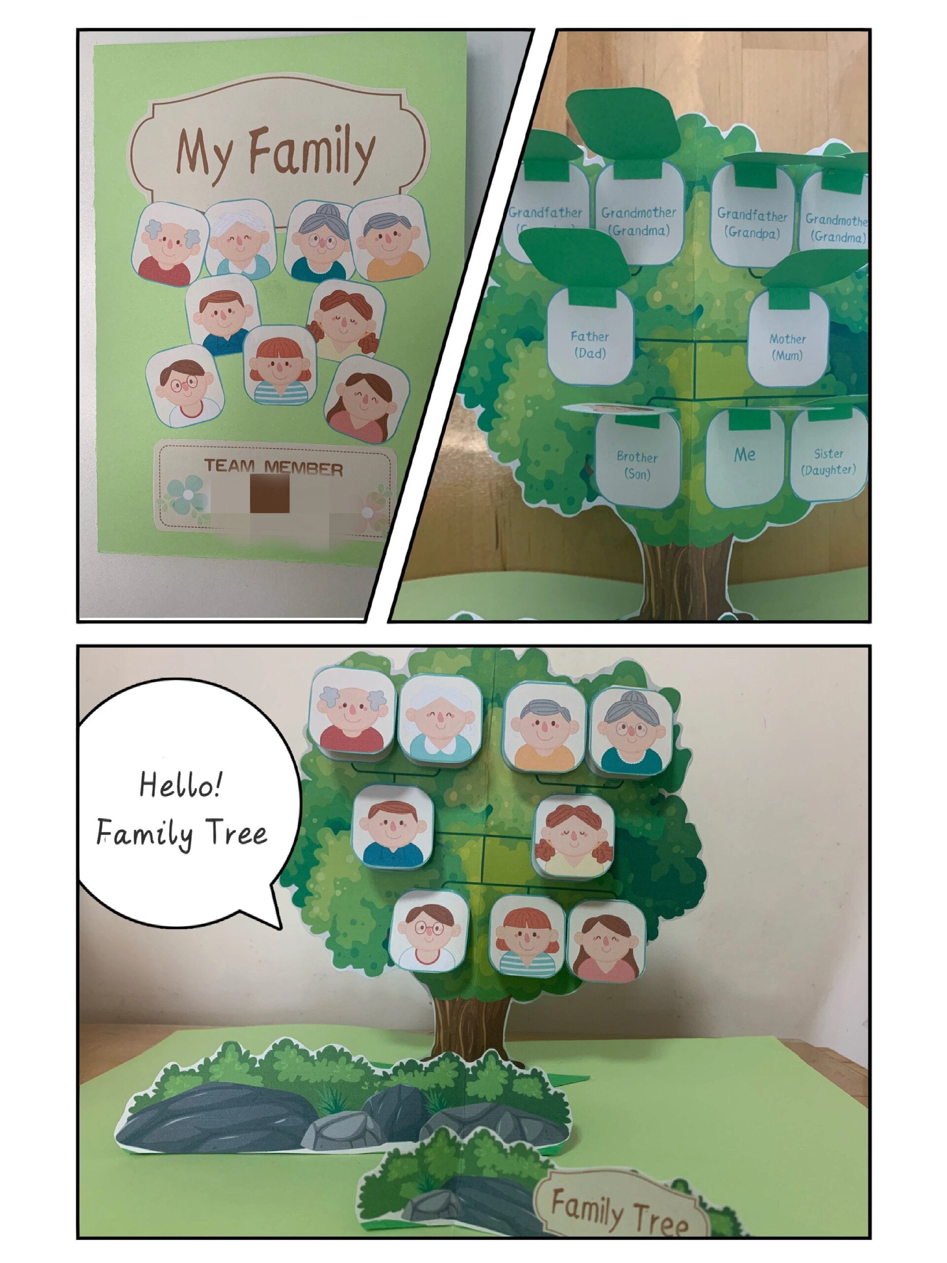 10岁幼儿TREE小学生TREE，10岁幼儿的小学生活-第2张图片