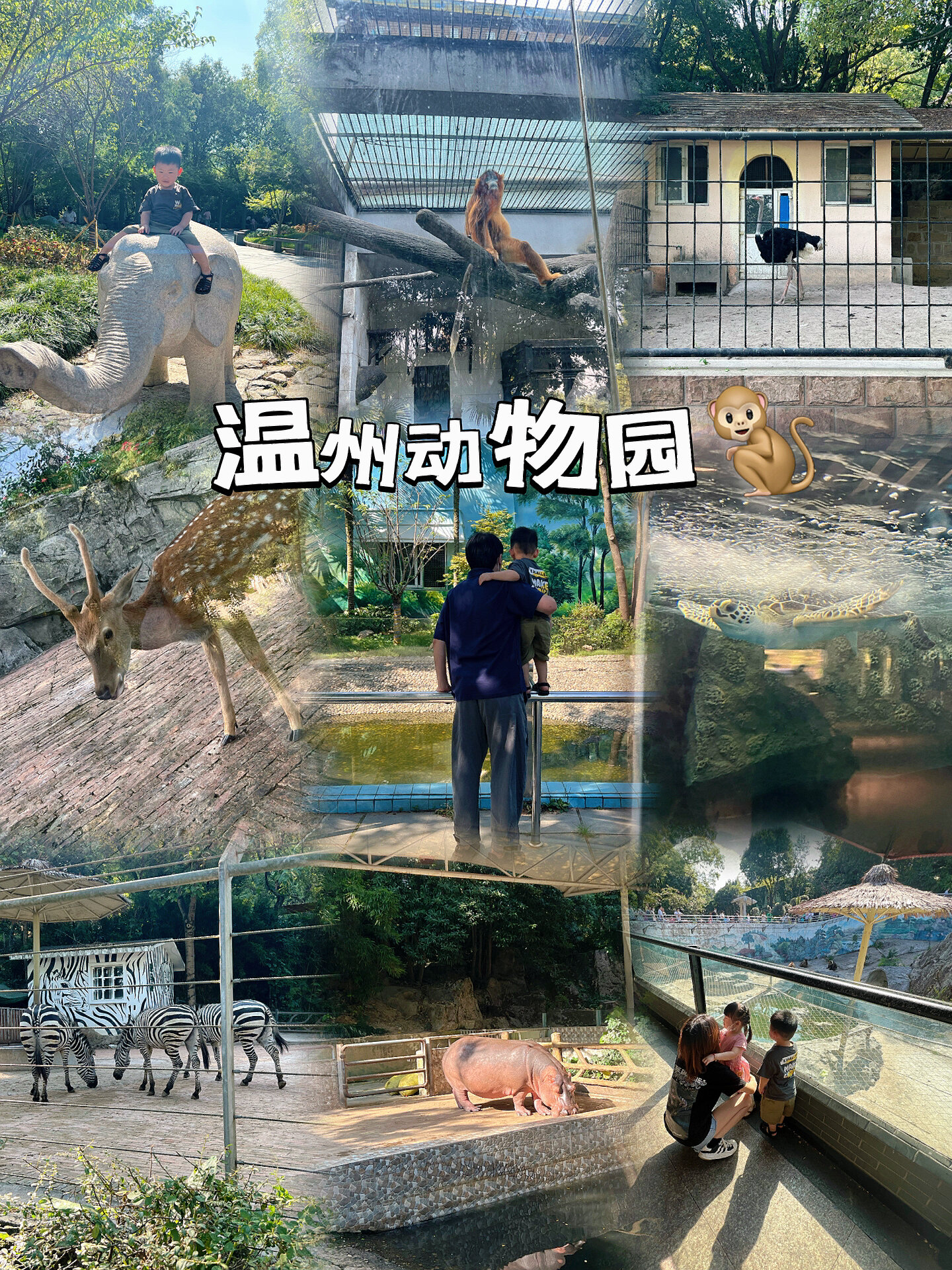 鹿城成人娱乐，探索与理解