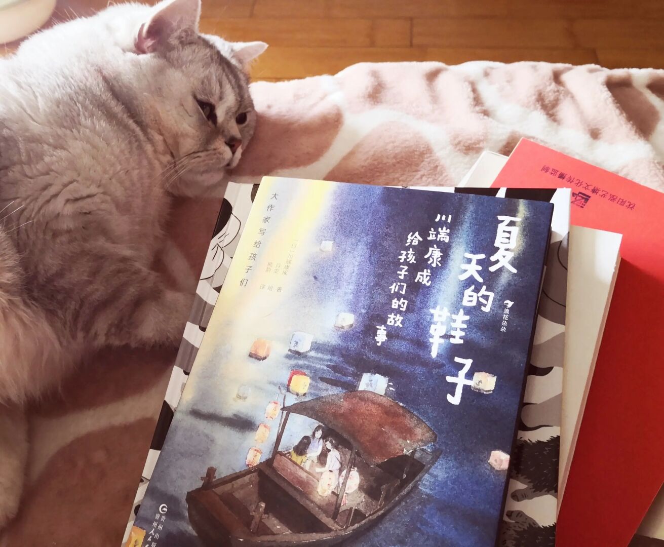 肚皮起伏的奇妙之旅