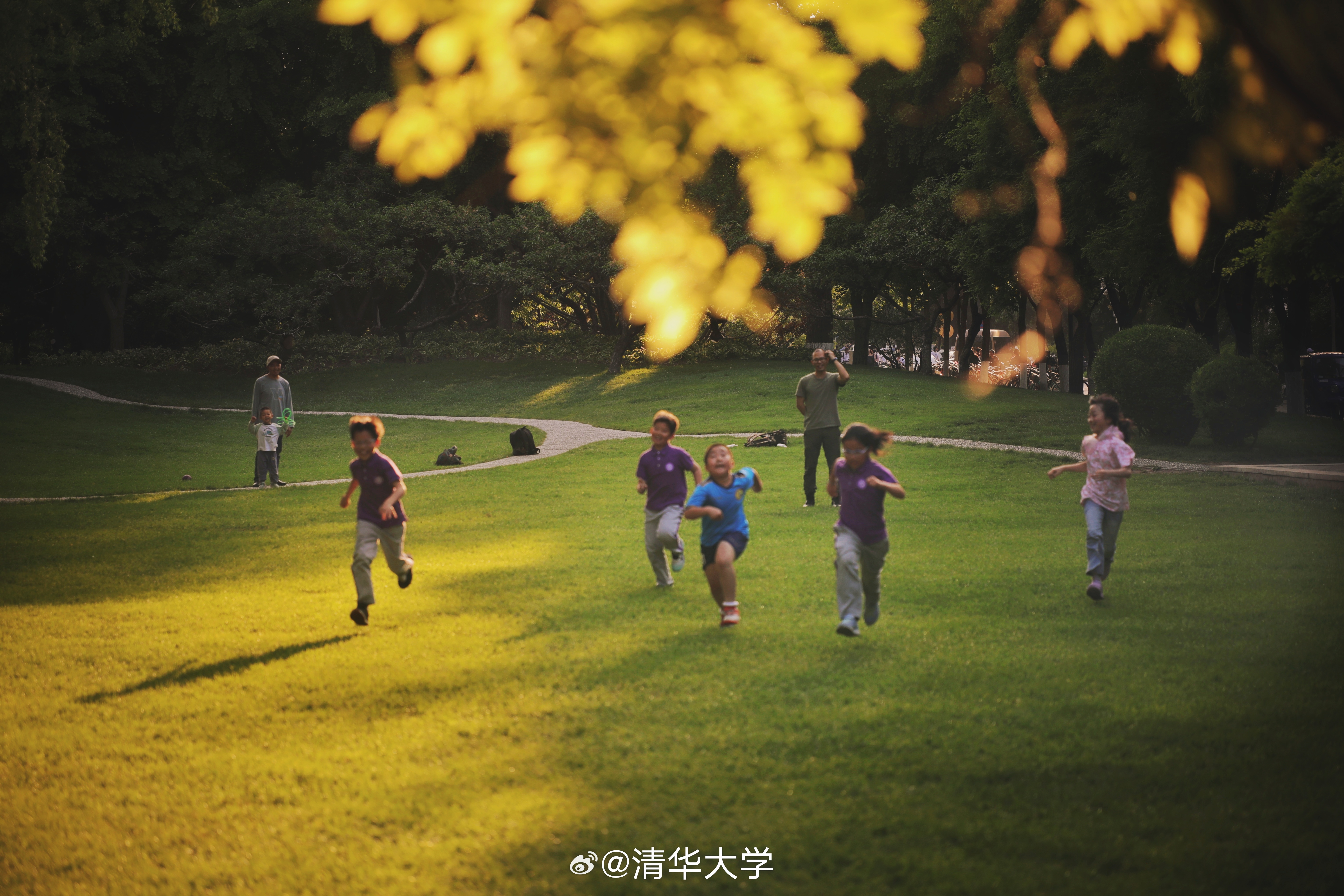 校园之花——校花H的独特魅力