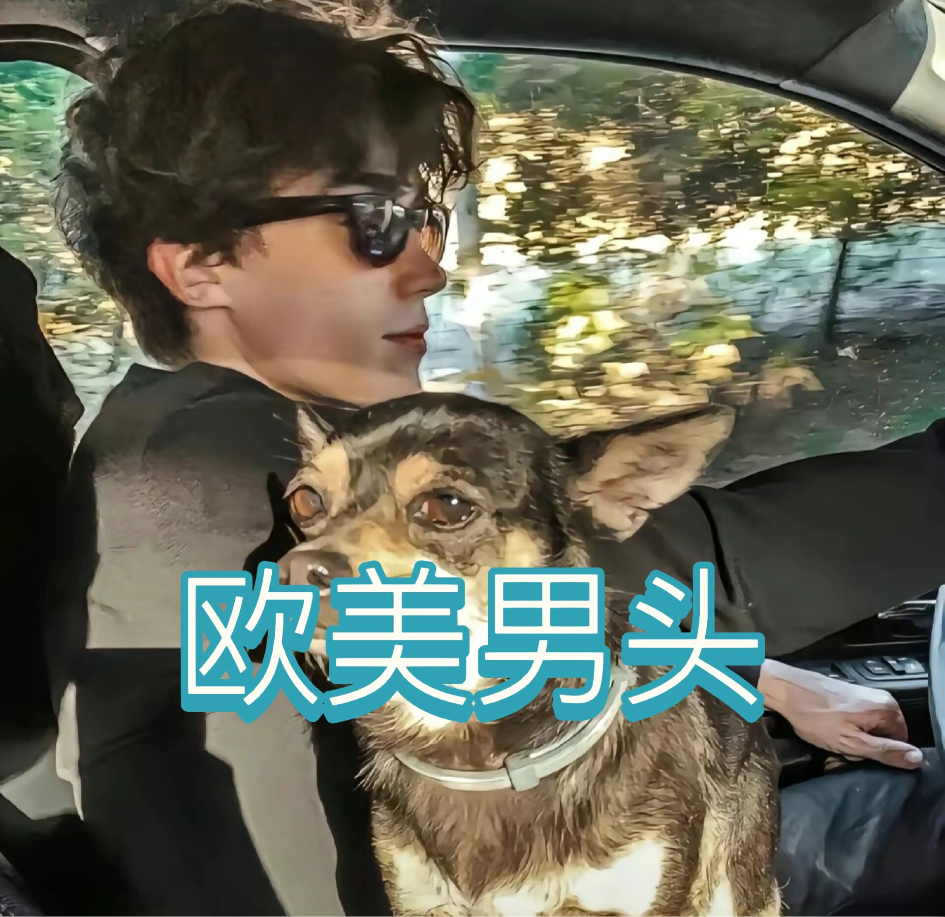 欧美男男视频资源分享-第3张图片