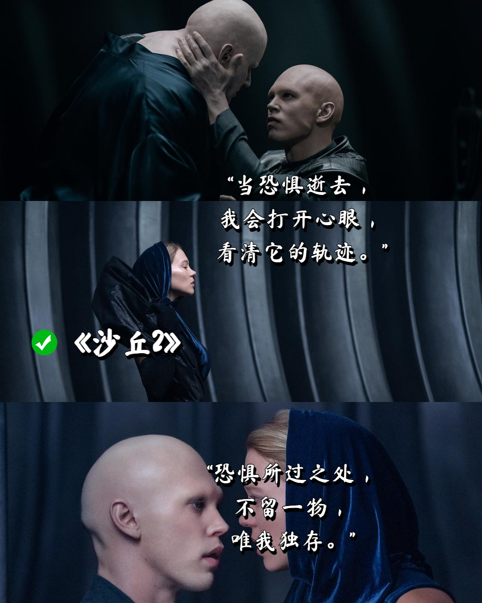 探索在线影视大全，两个人的共享观影体验