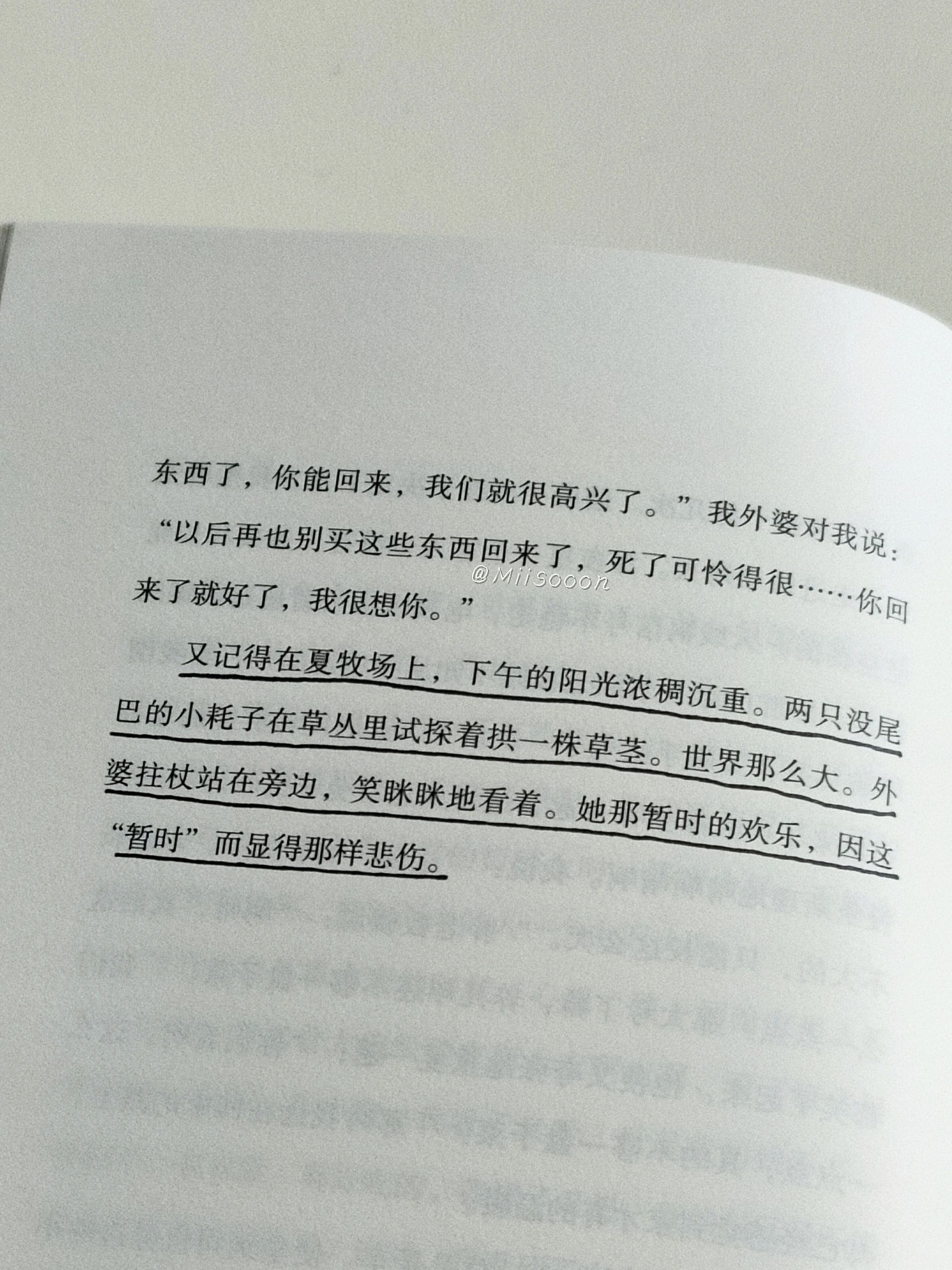 公交车李娟小说公交车上的温暖故事——李娟的善举-第2张图片