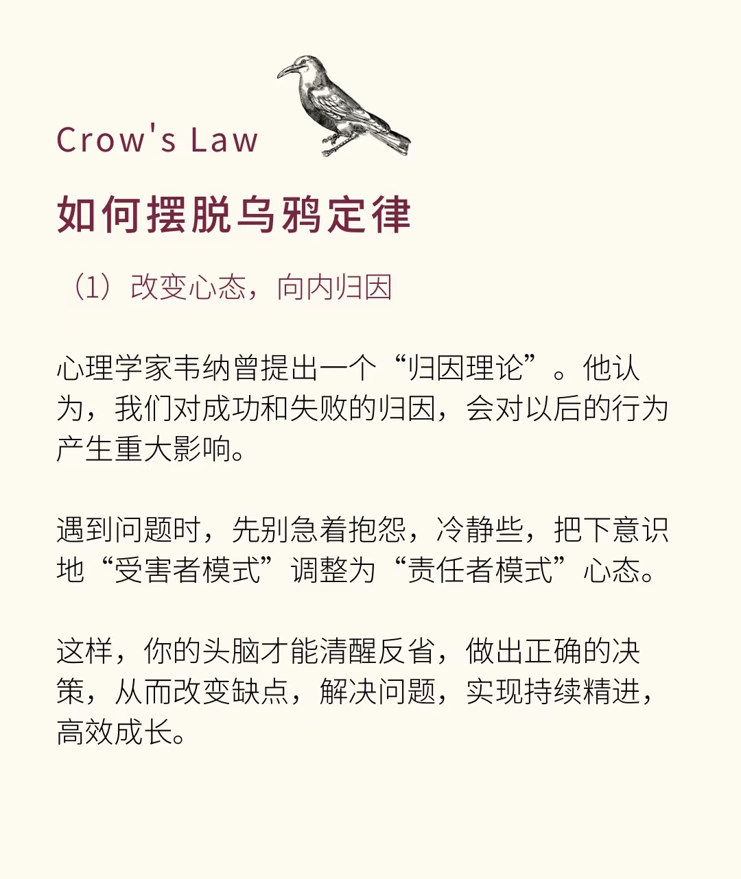 乌鸦天赋，智慧与生存的独特魅力-第3张图片
