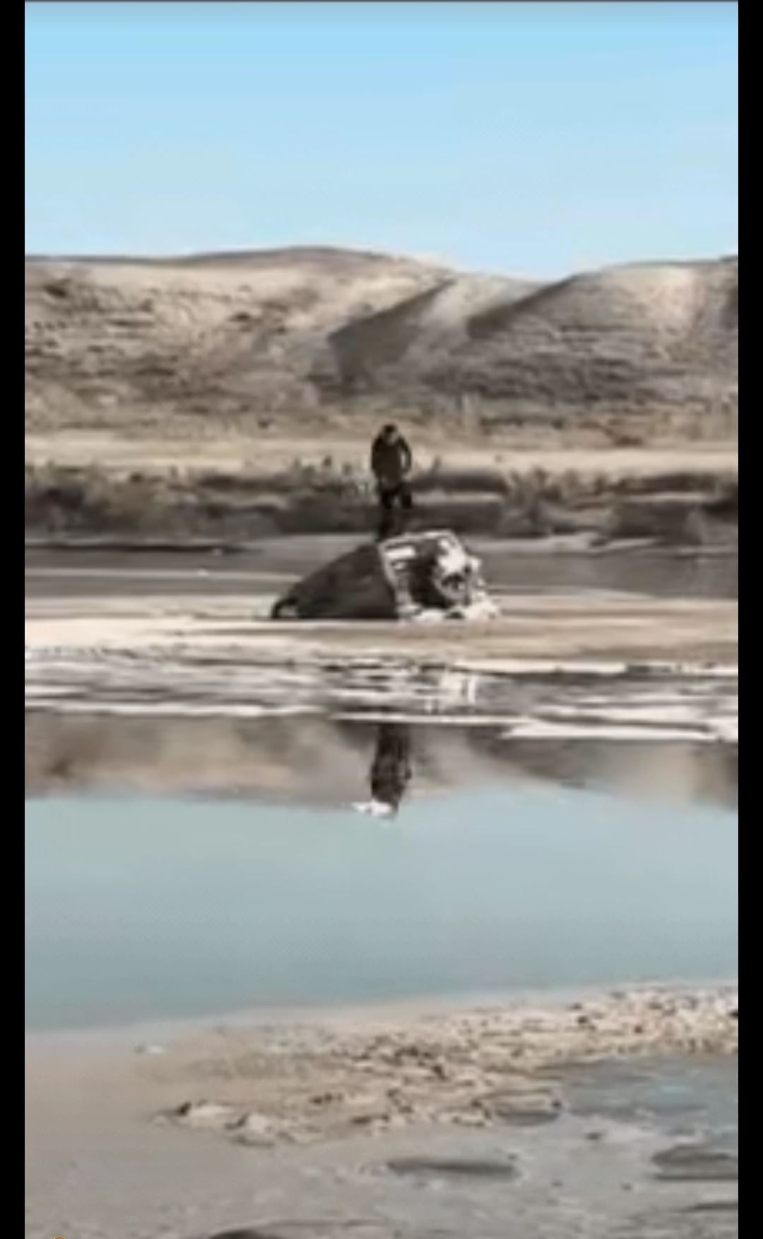 人进入羊的水门视频大全欧美探索羊的奇妙世界——人进入羊的水门视频大全解析