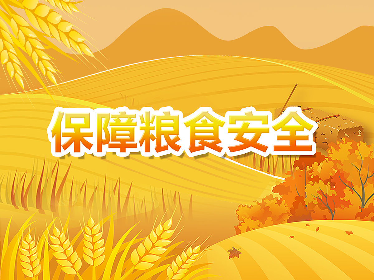 优质灌溉攻略系统优质灌溉攻略系统，提升农田灌溉效率的全方位指南-第2张图片