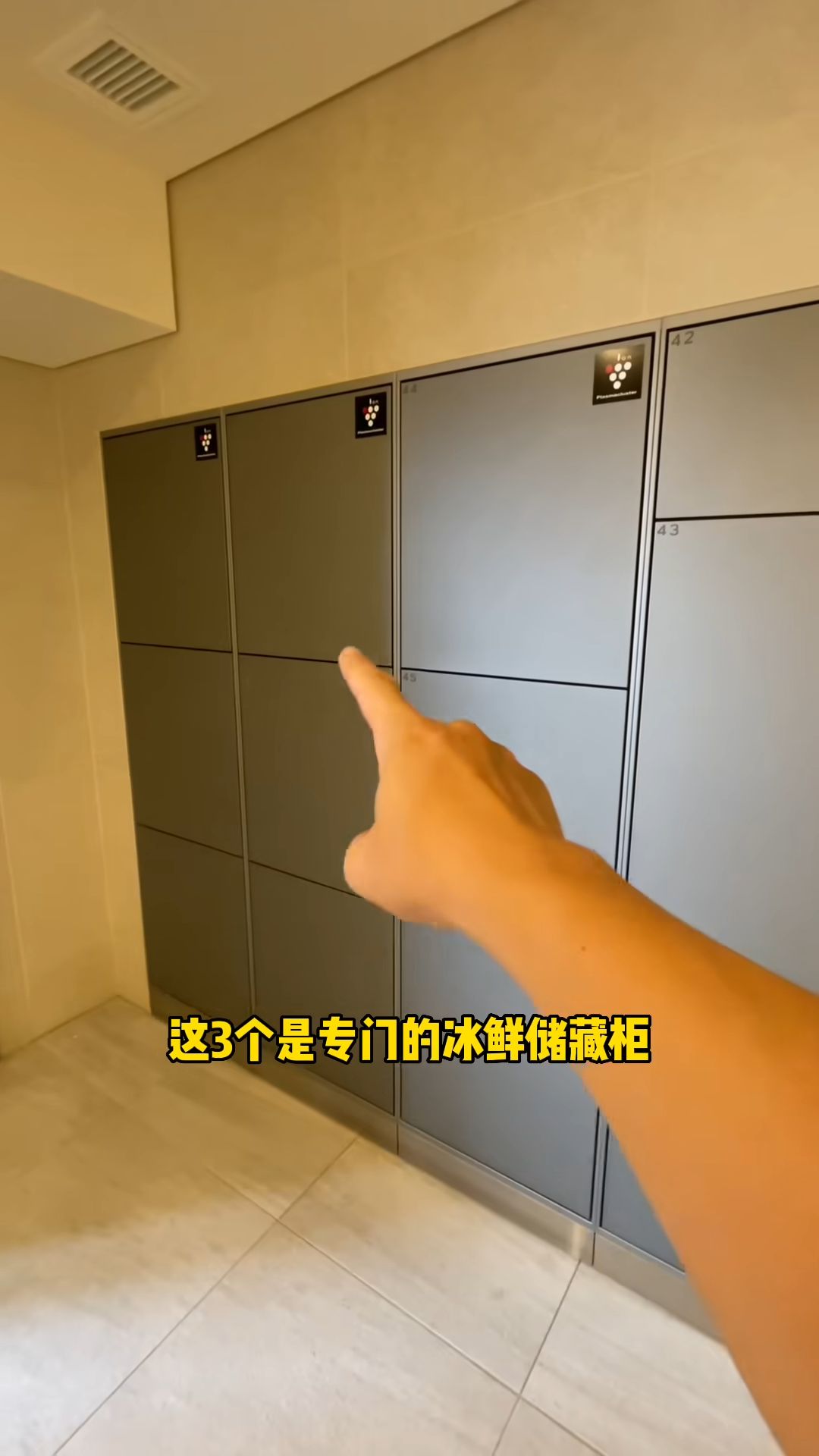 岛国一区二区三区岛国一区二区三区的独特魅力-第2张图片
