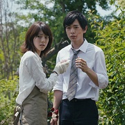 探索ほーすている的魅力，中文在线的无限可能-第2张图片