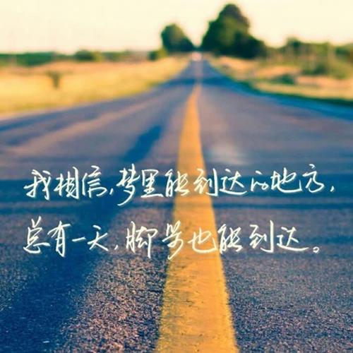 正能量网站，你懂我意思，免费观看与下载的快乐源泉