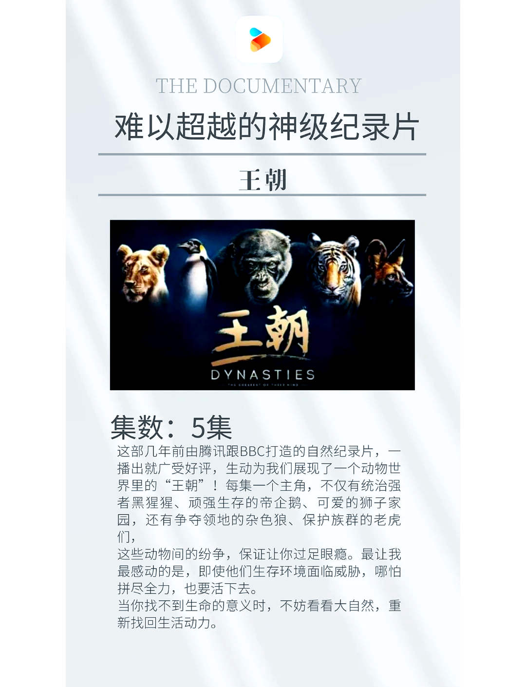 世界上最不得安人，一部震撼心灵的纪录片之旅