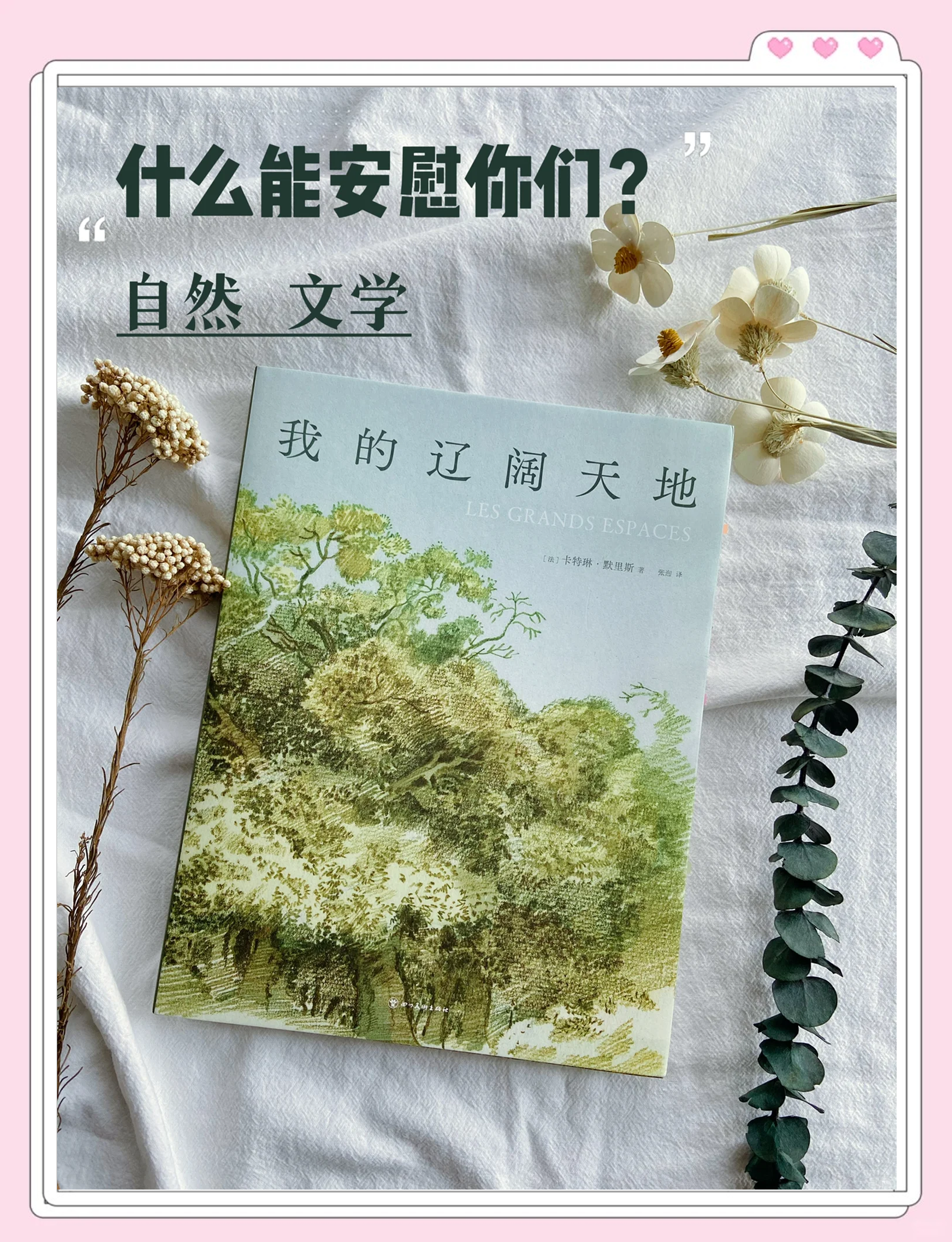 超级H荡的辣文小说超级H荡的文学之旅，一场辣文小说的探索-第2张图片