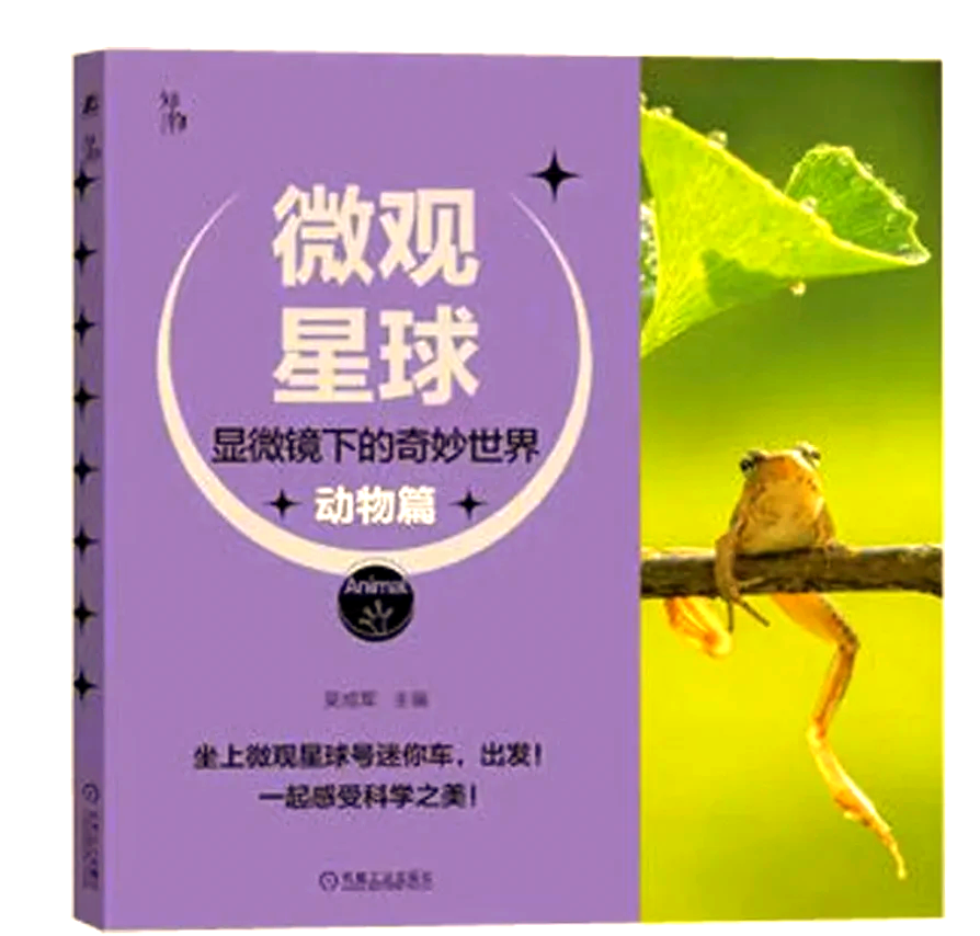 世界上最小的B探索世界上最小的B——微观世界的奇妙之旅