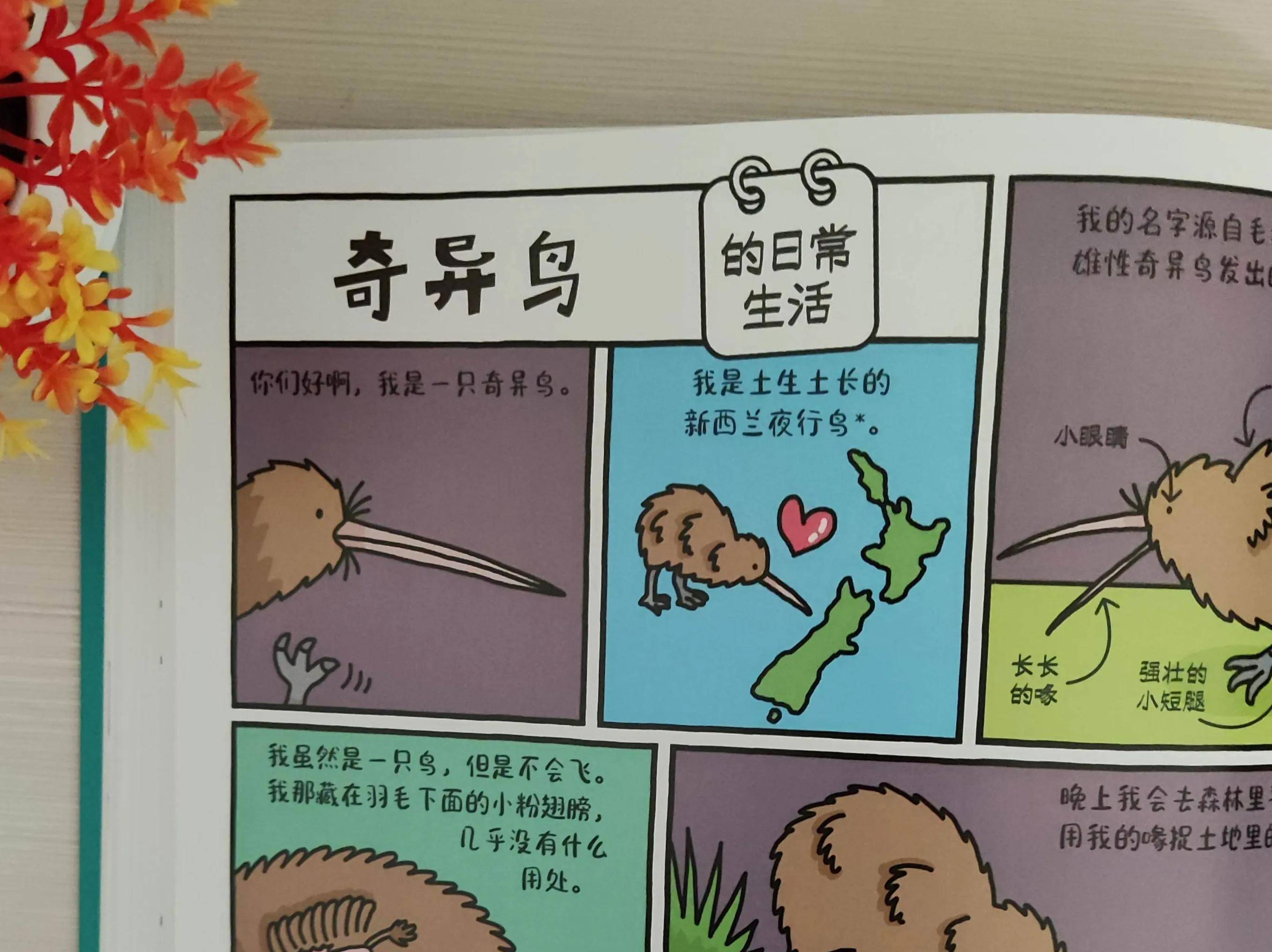 七十二式是意思七十二式性插图，探索人体奥秘的视觉指南
