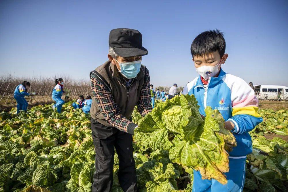 播放拔萝卜压腿舞蹈的魅力与乐趣