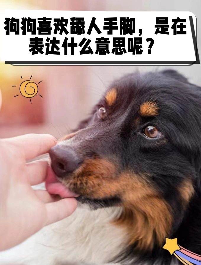 舔舐阴关于舔舐阴的探讨-第2张图片