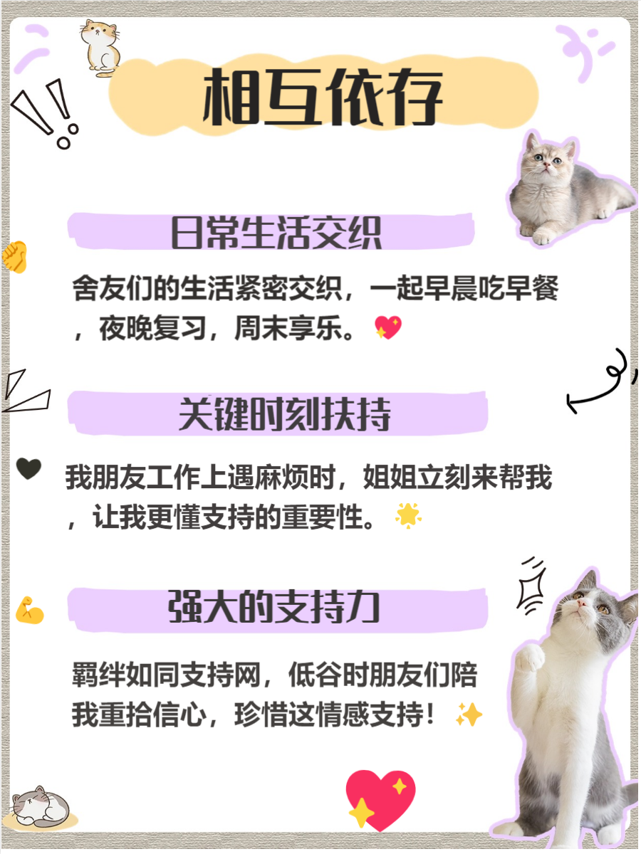 男生和女生做的亏亏事免费的app男生与女生共同探索的数字世界——开发软件的故事