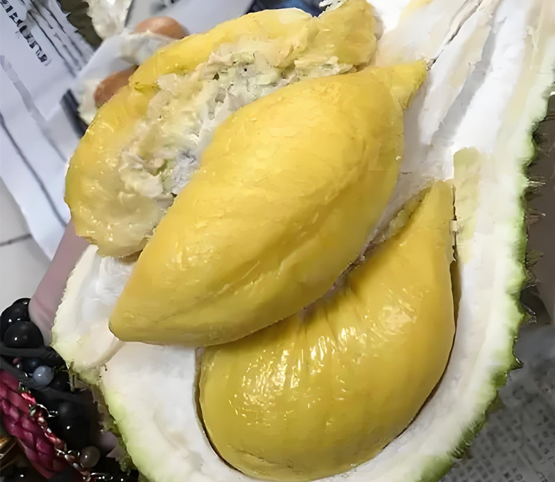 榴莲网站app官方下载站长统计榴莲官方网站进入，探索榴莲的奇妙世界