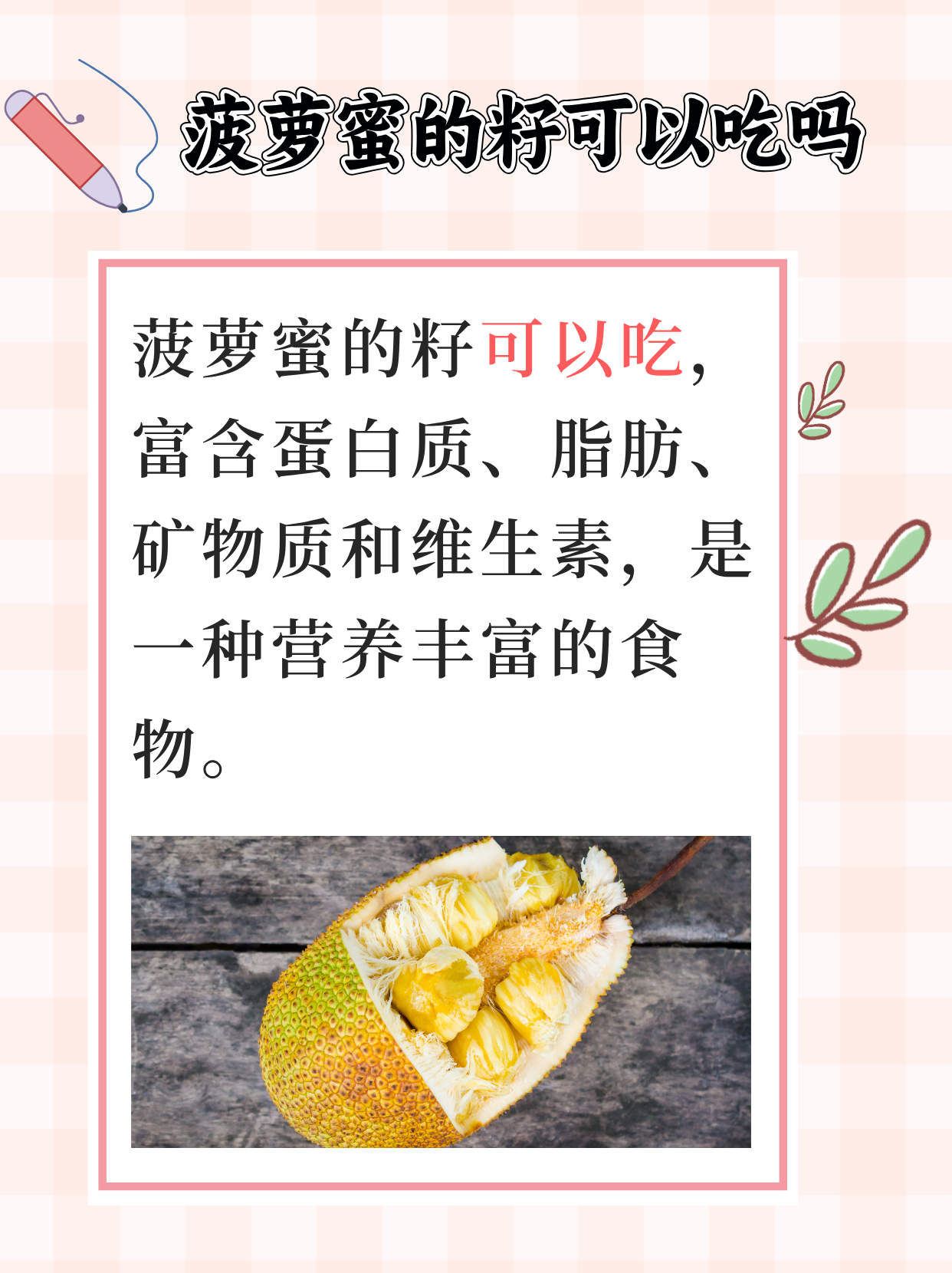 菠萝蜜网国际通道菠萝蜜国际通道与一区麻豆的探索之旅