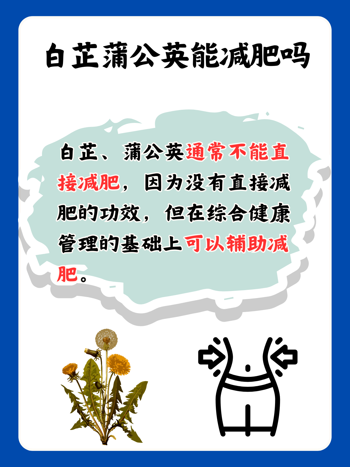 小东西你喷的到处都是白芷什么意思小东西的奇妙力量——白芷的白色世界