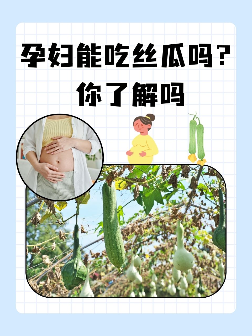 抖音樱桃丝瓜绿巨人黄瓜抖音上的水果新潮流，樱桃、丝瓜与绿巨人的奇妙之旅-第2张图片