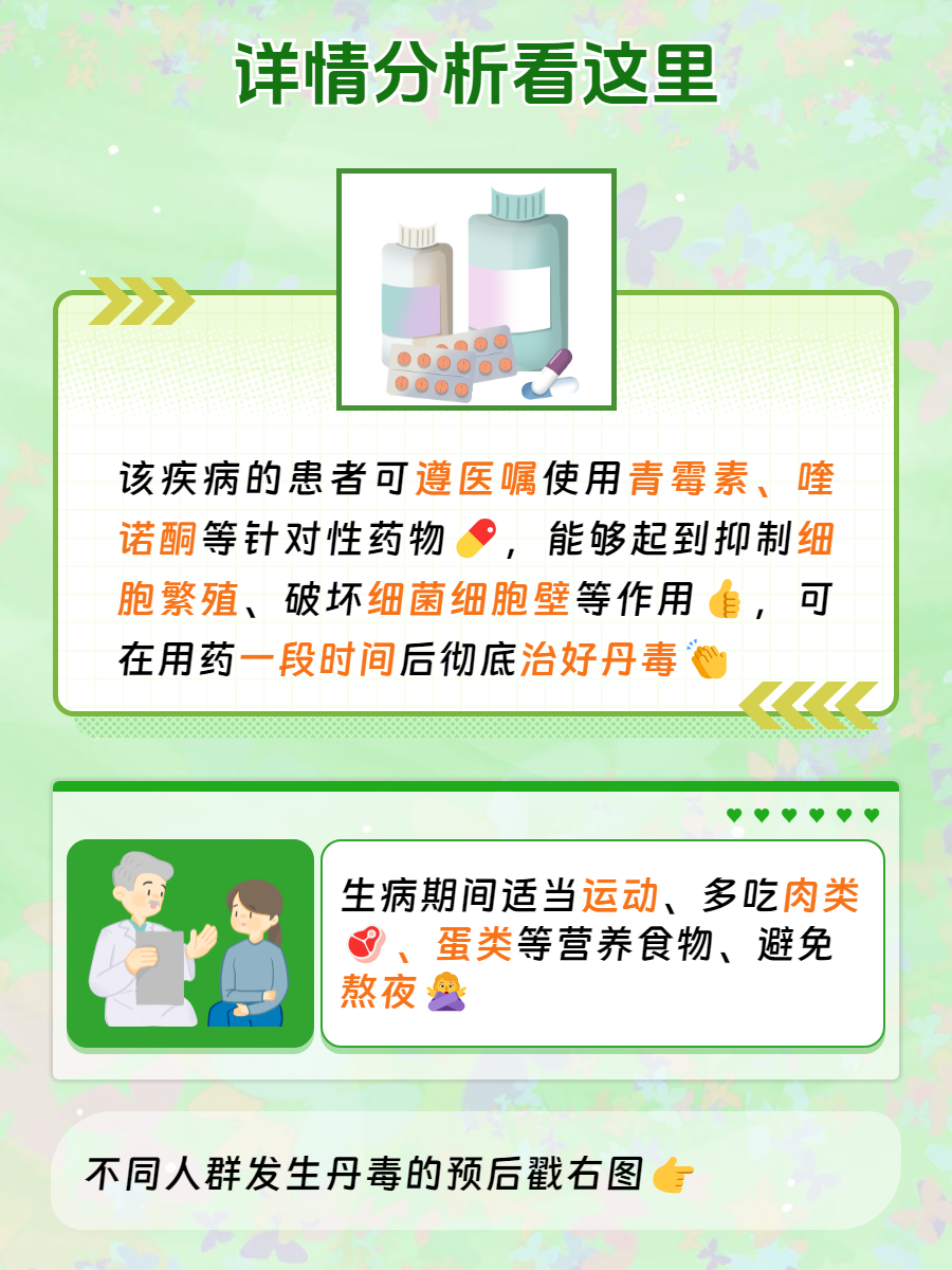 女性角色皮肤展示软件，探讨其功能与影响