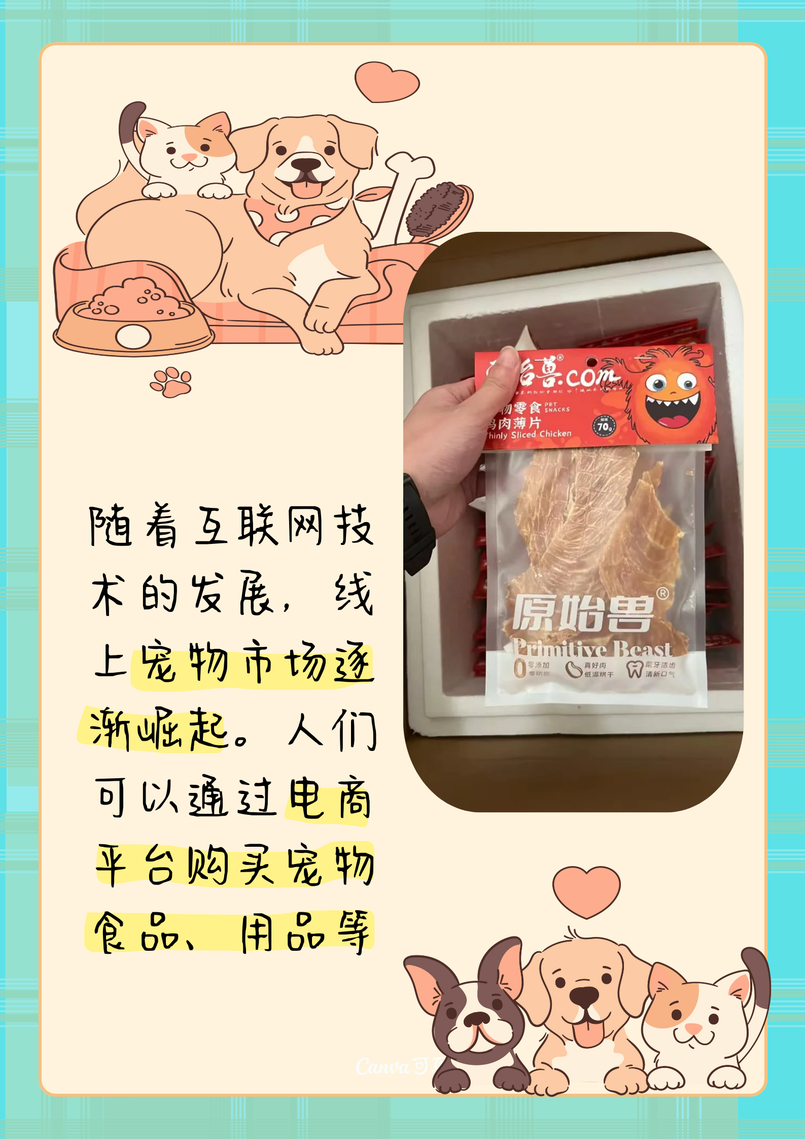 Zoom与动物Zoom探索Zoom与动物Zoom的奇妙世界