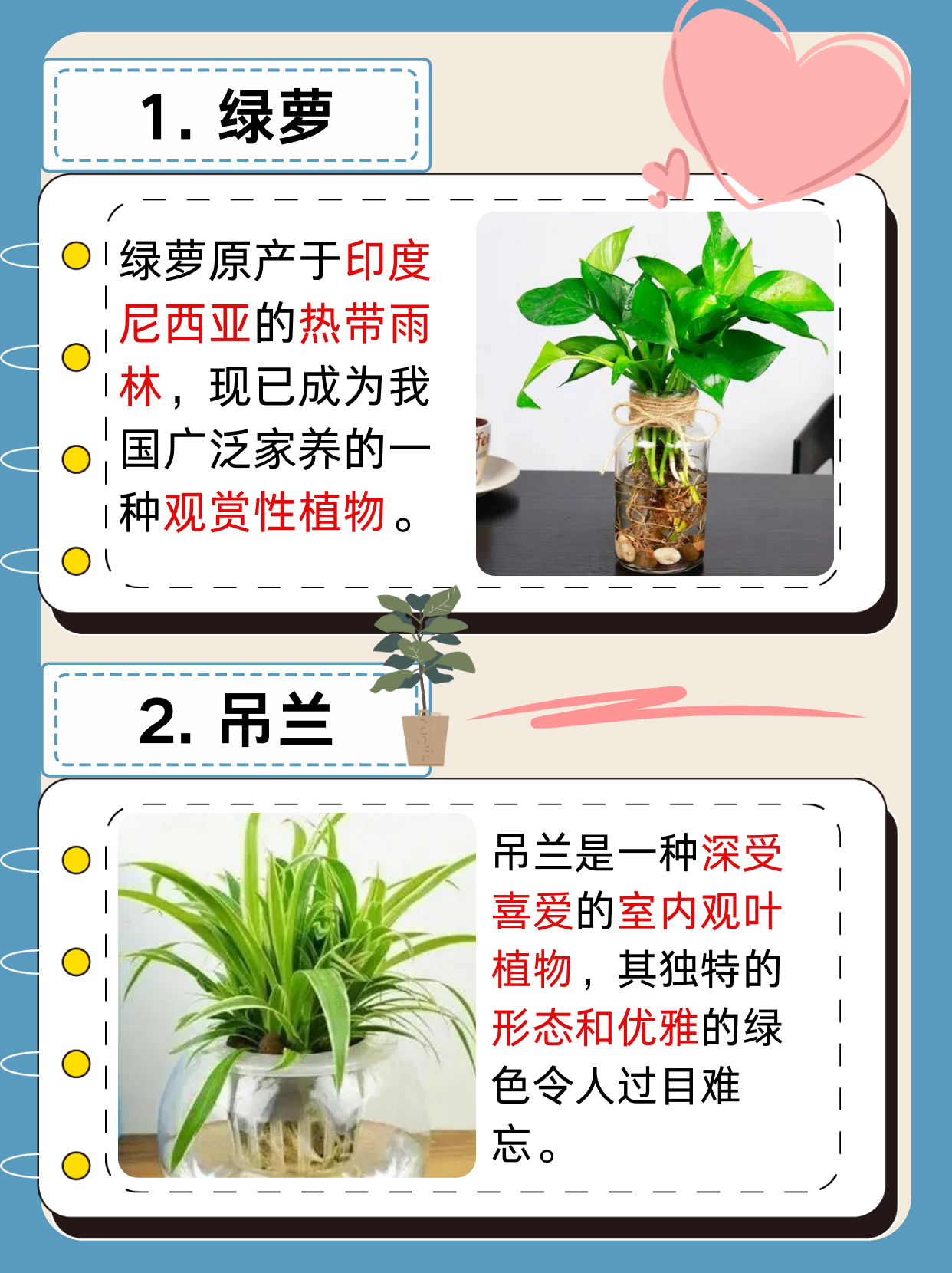 锦鲤吸水，一种独特的自然现象与文化寓意-第2张图片
