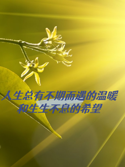 小纯洁社区小纯洁社区，一个充满温暖与纯真的小天地