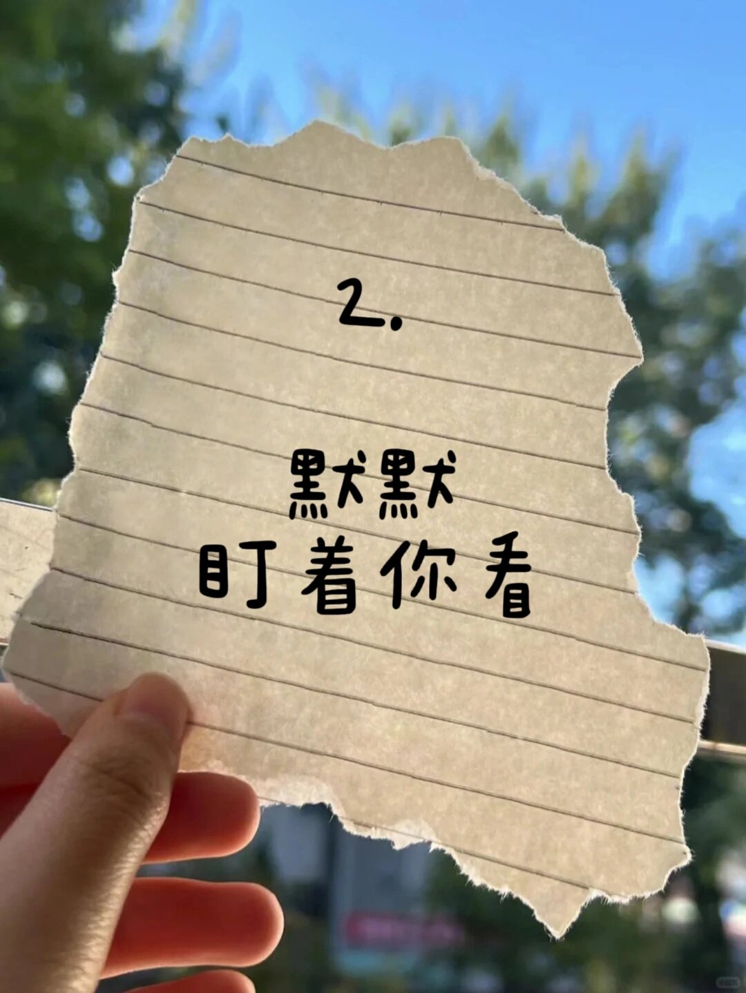 男生与女生共同探索，安全免费下载差差差APP的指南-第3张图片