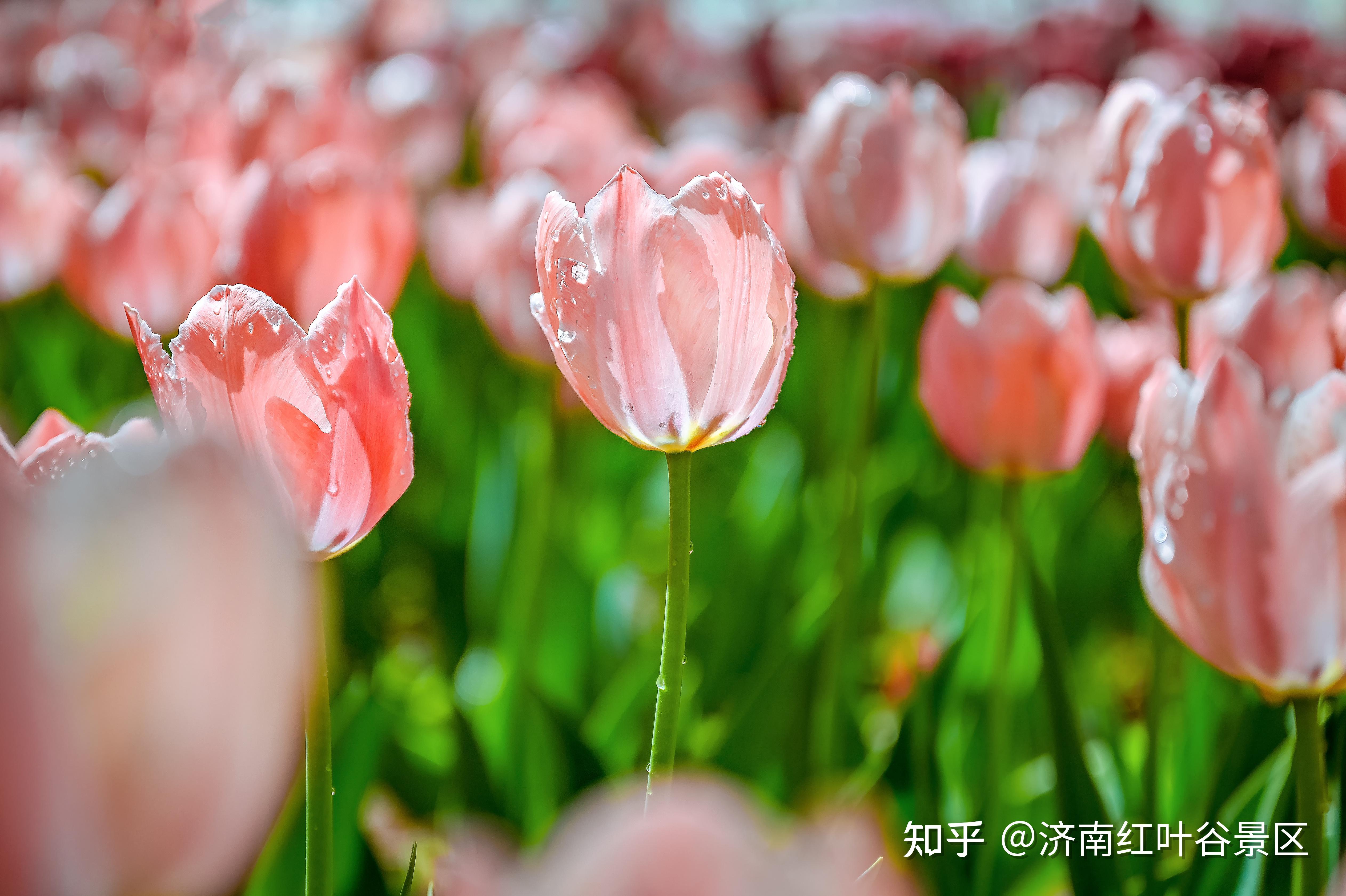 五月色彩缤纷，快乐心情绽放