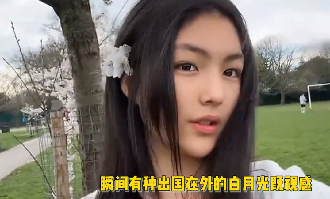 国产网友自拍在线视频区国产网友自制在线视频的崛起与影响