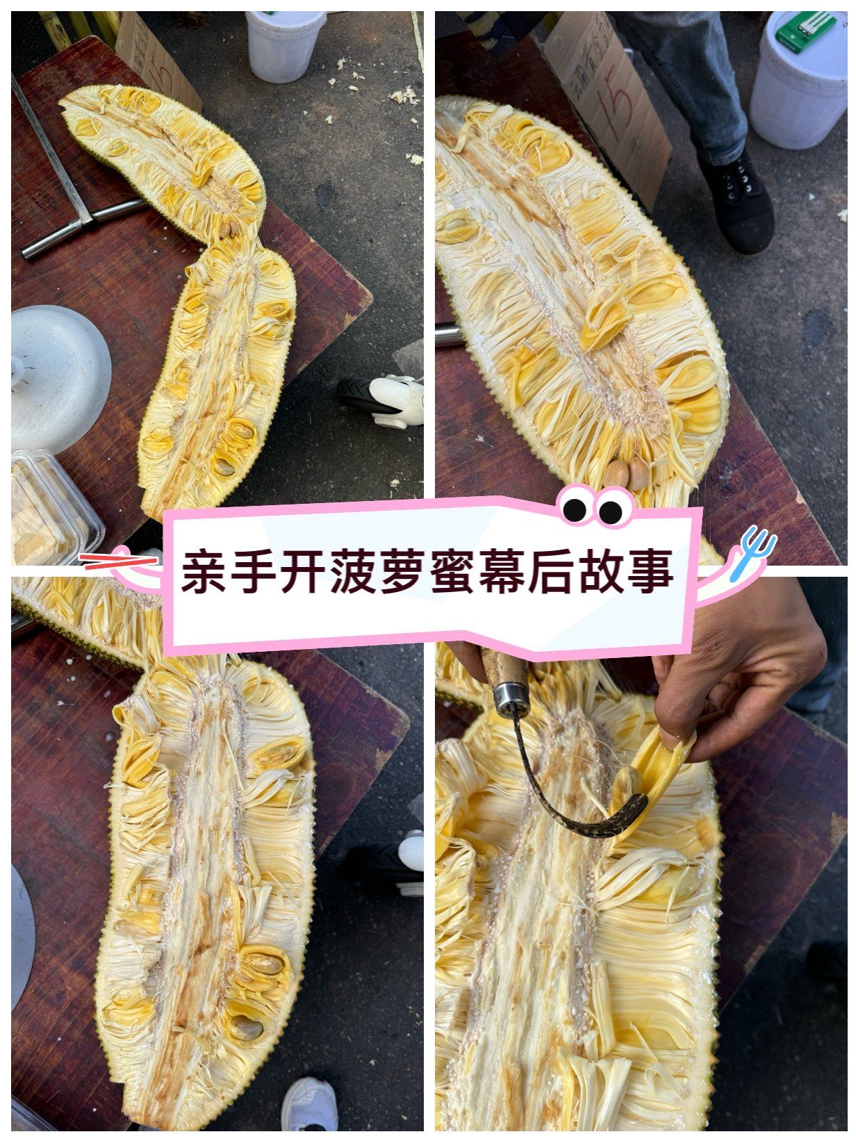 菠萝蜜视频的正确使用与健康观看指南