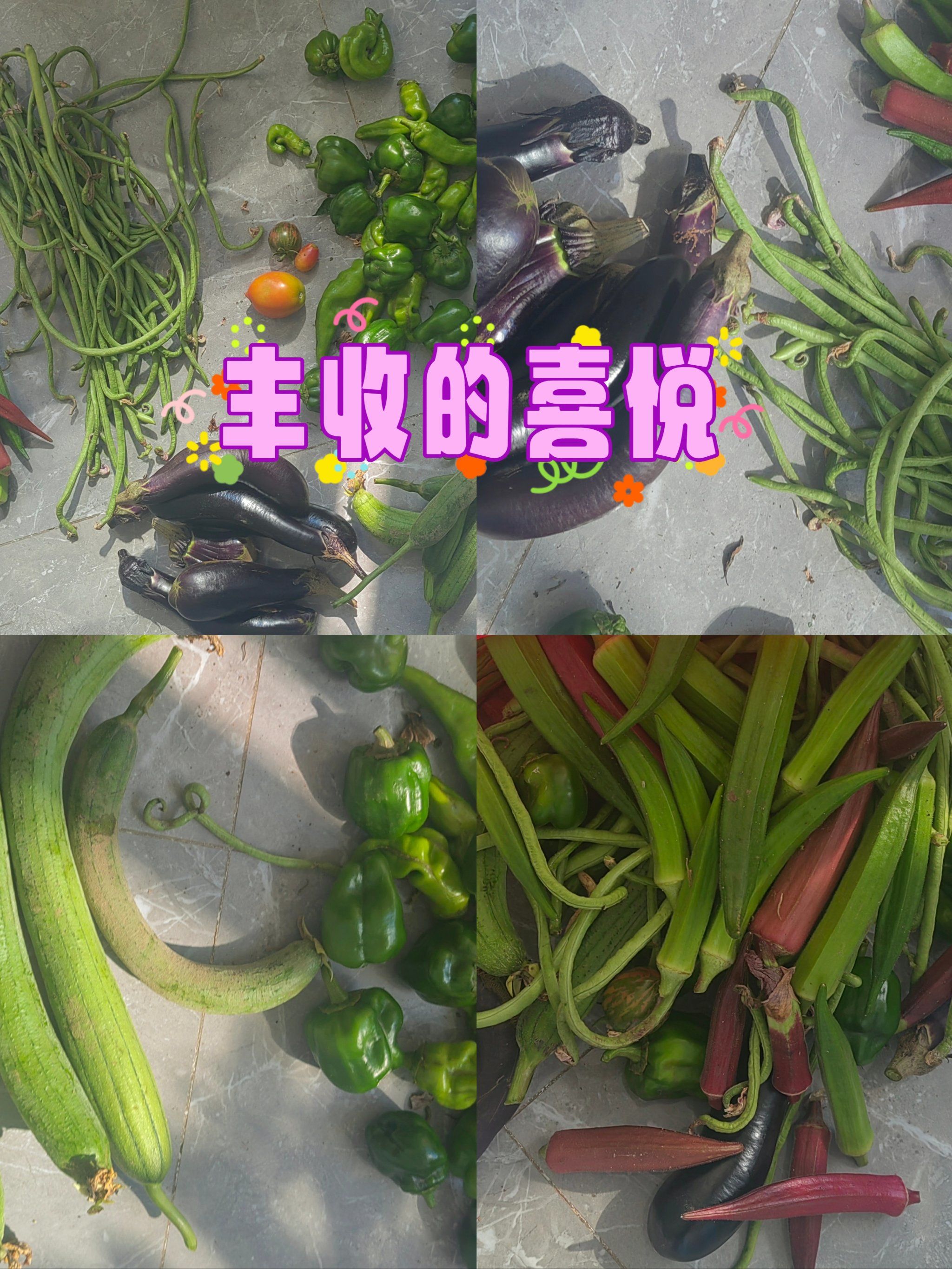 绿巨人污秋葵草莓黄瓜荔枝丝瓜z绿巨人系列，秋葵、草莓、黄瓜、荔枝与丝瓜的奇妙之旅-第3张图片