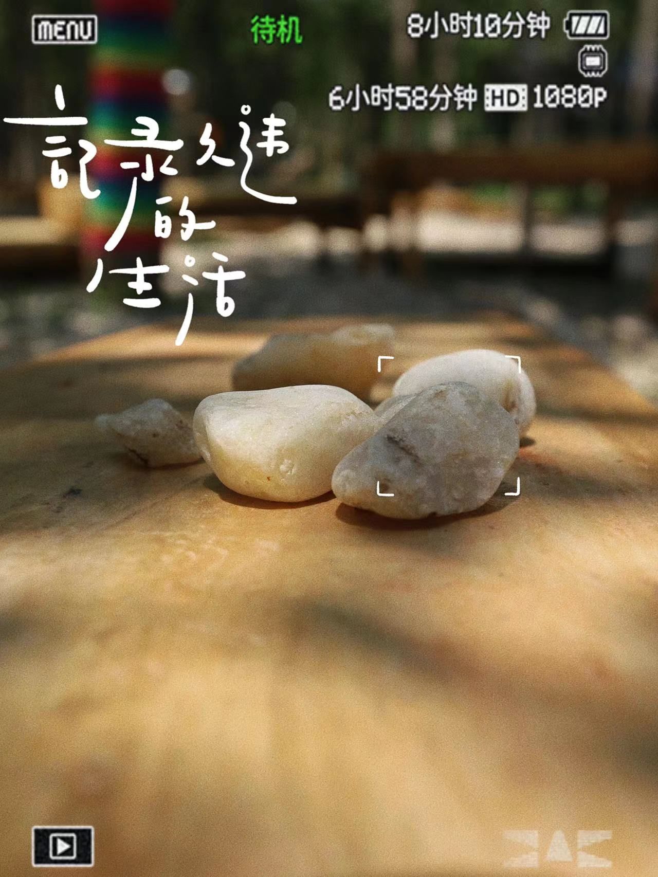 温教授停车场的喂食之旅