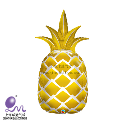 大菠萝福建导航导入网站花季传媒大菠萝与花季传媒，福建导航导入网站的新体验