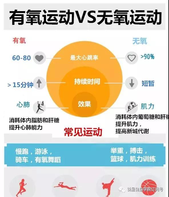 运动过后拉伸的重要性——蚂蚁庄园的探索之旅