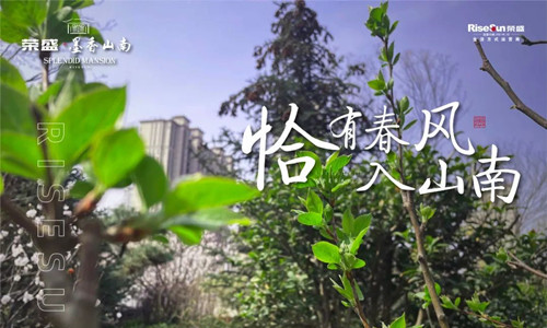 春暖花开，吧有你-第2张图片