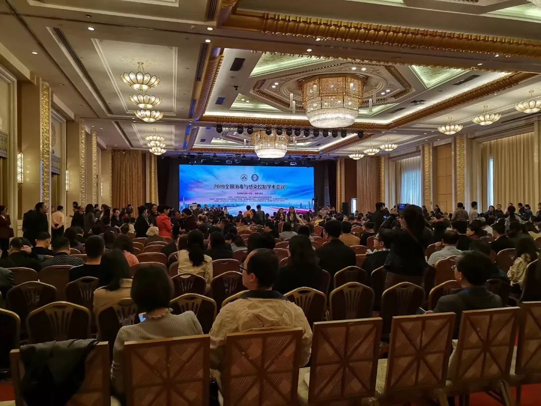 最好看的2019年中文在线观看最近最好的——2019中文的辉煌与展望