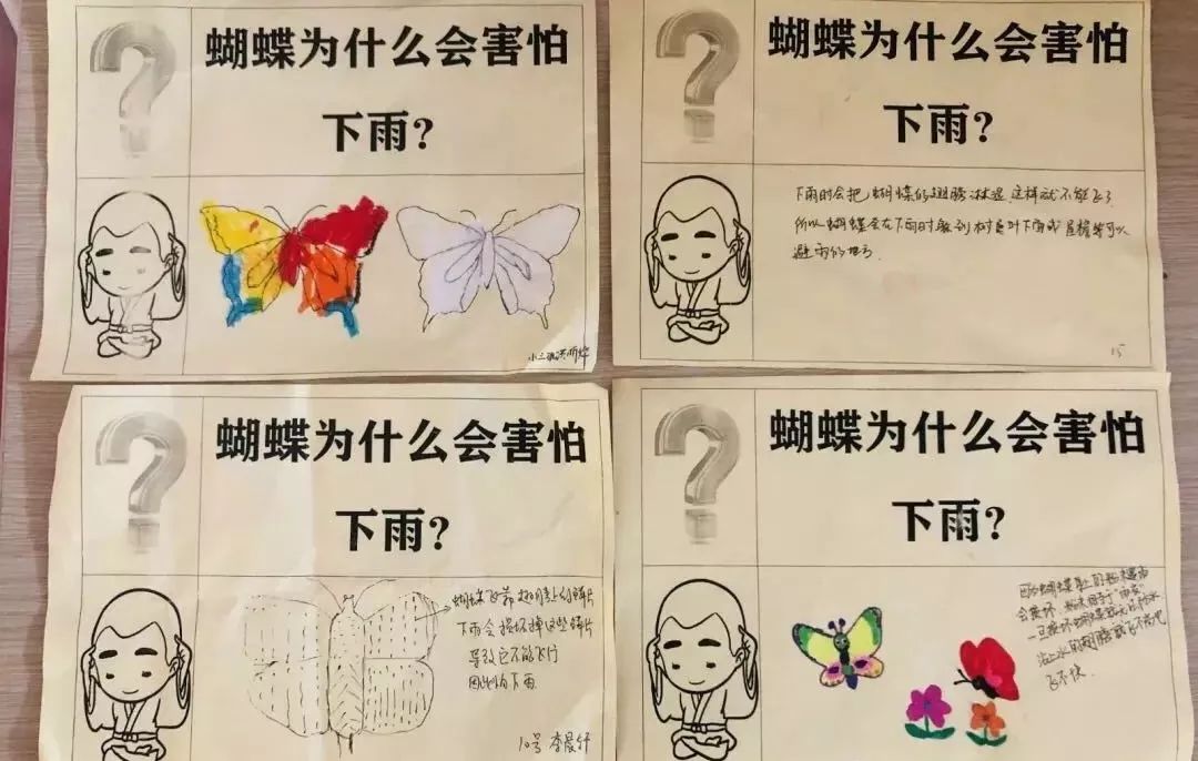老师你的兔子好软水好多我的老师与她的兔子——一次难忘的互动体验