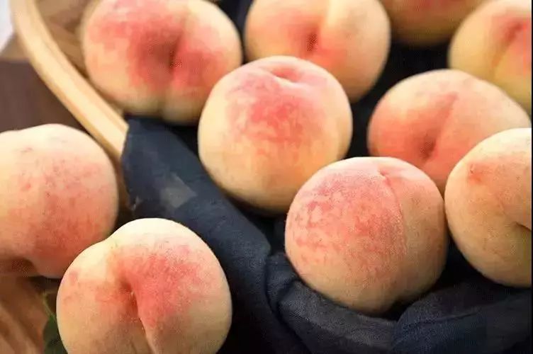 水嫩多汁的蜜桃H水嫩多汁的蜜桃H——品味自然之美