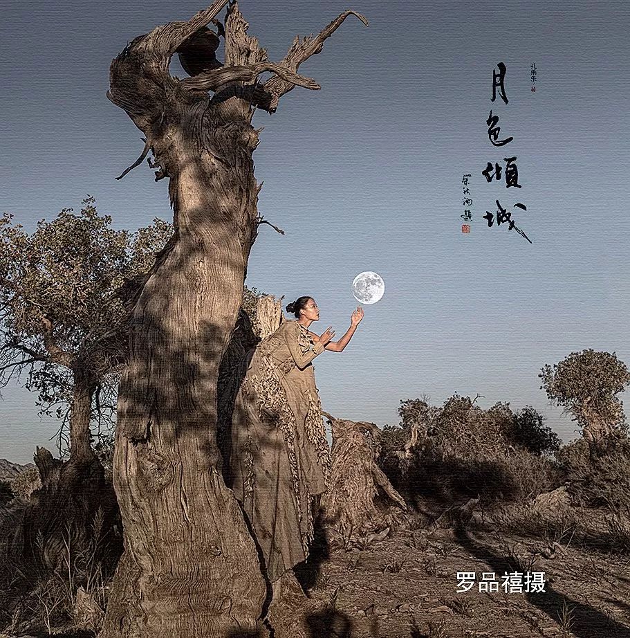 探索未知的疆域，2023年无人区一码、二码、三码的神秘之旅-第2张图片