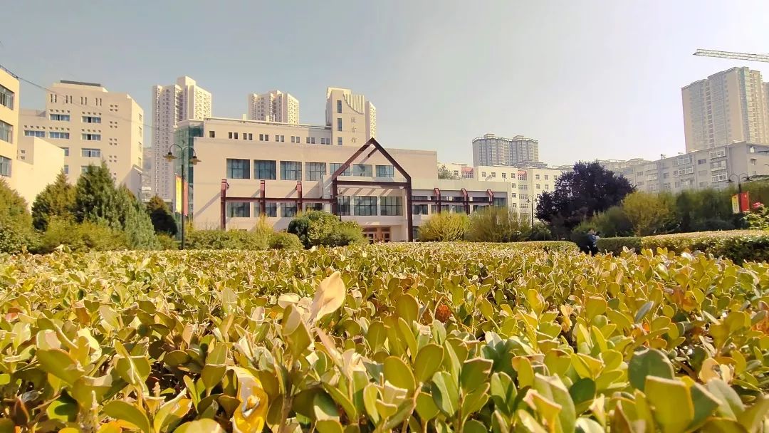 兰州城市学院聊天记录兰州城市学院，师生间的聊天记录与校园生活点滴