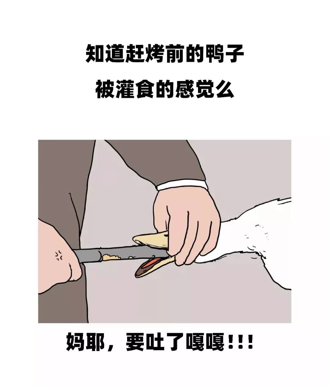 男生误将坤坤放入女生私密部位——一场因误解而引发的蘑菇风波-第3张图片