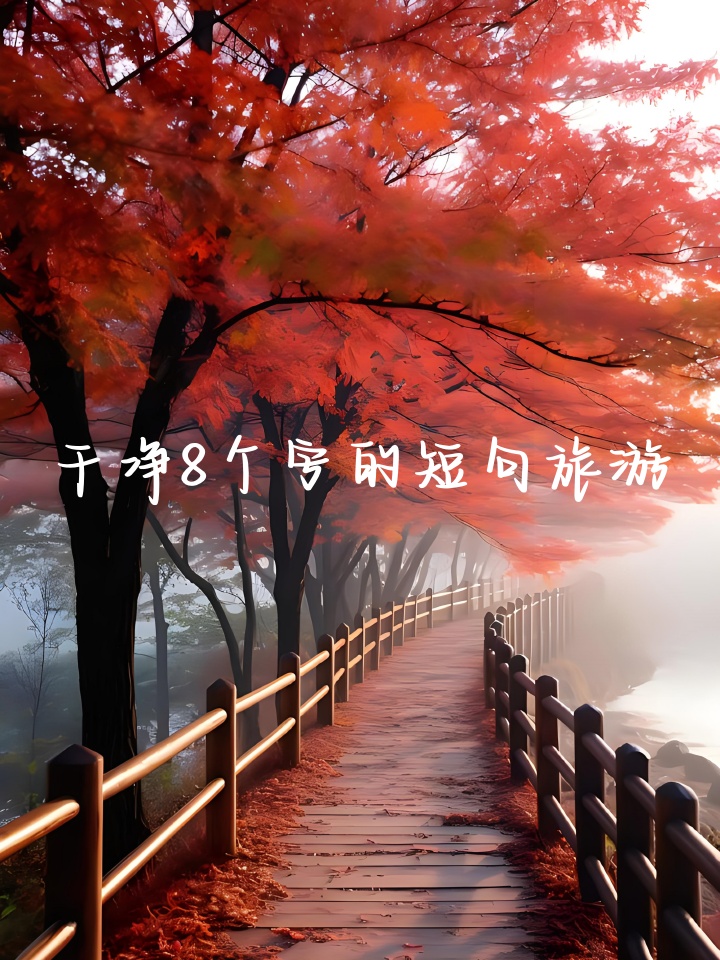 本道久久的探索与感悟