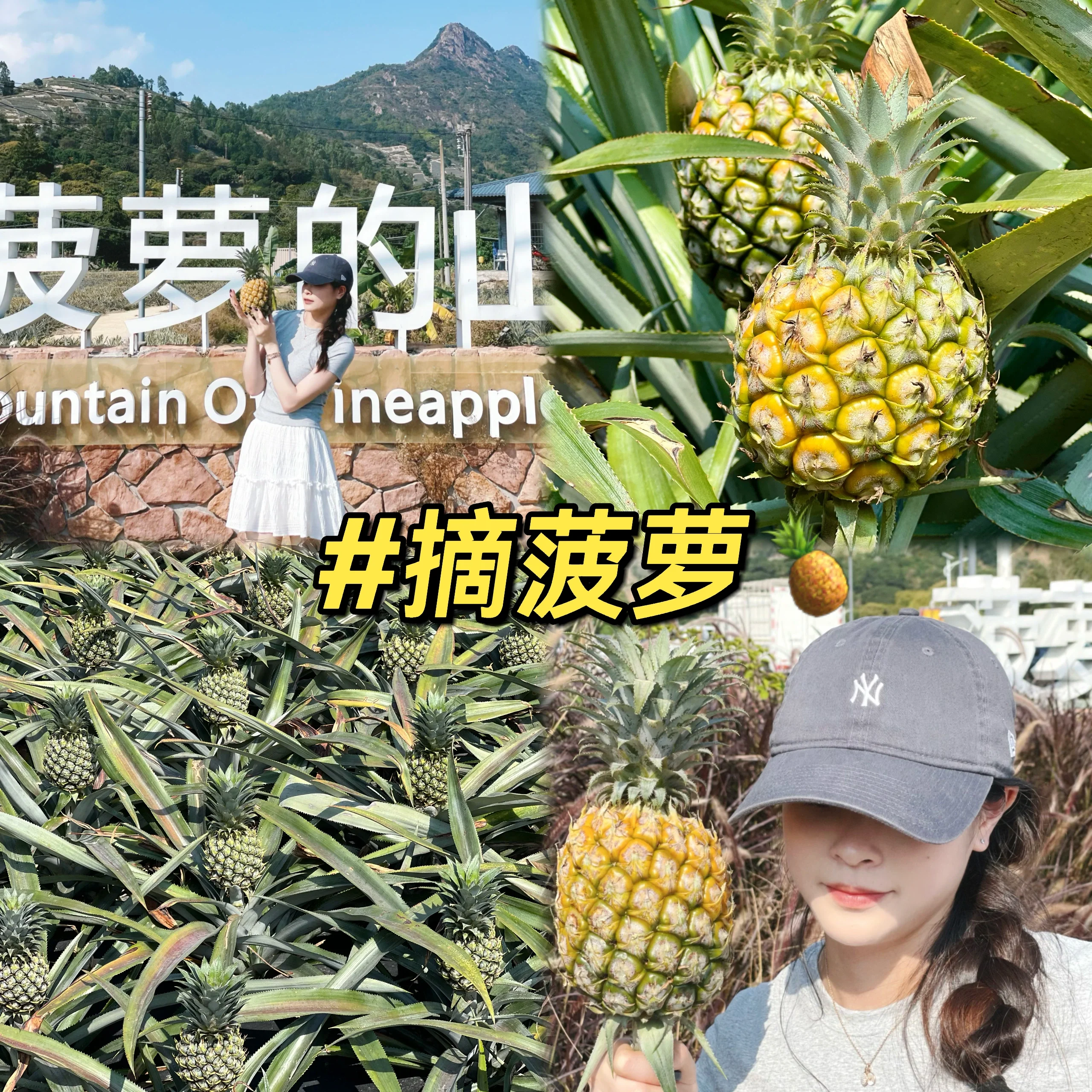 大菠萝福建app导航入口优势探索大菠萝福建APP的魅力-第2张图片