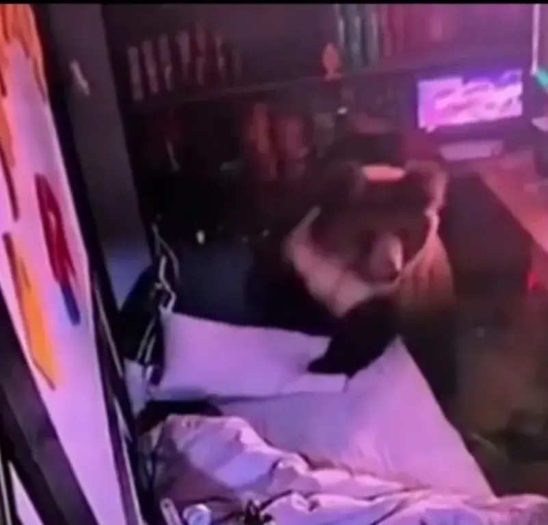 床震视频大全视频大全探索床震视频大全，视频资源解析与观赏指南