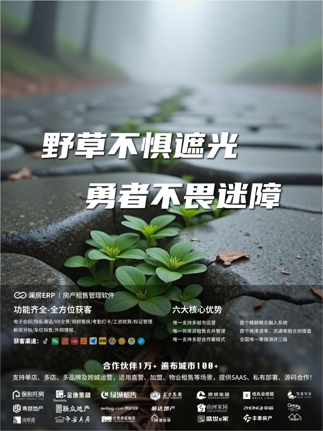 勇往直前的力量——探索よっしゃ的深层含义