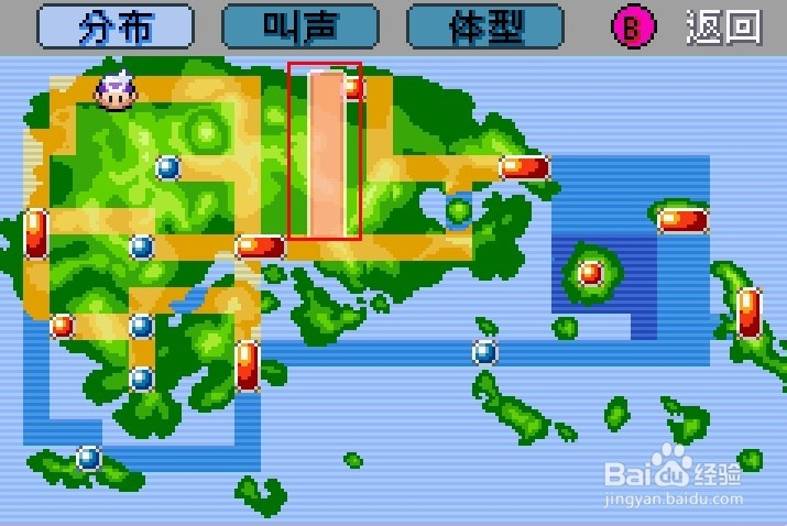 魅影魅影之谜，探索未知的神秘世界
