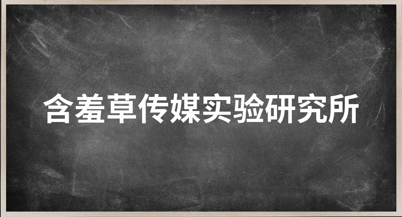 含羞草传媒免费进入APP老版本含羞草传媒老版本APP免费进入，体验不一样的视觉盛宴